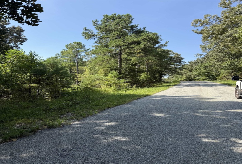 9500 HWY 104 HWY, Cedar Grove, Tennessee 38321, 0 , 0 ,0,Land,For Sale,HWY 104,0,10229130