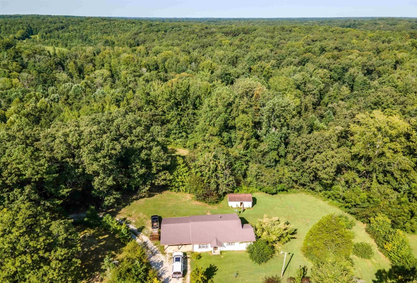 9500 HWY 104 HWY, Cedar Grove, Tennessee 38321, 0 , 0 ,0,Land,For Sale,HWY 104,0,10229130