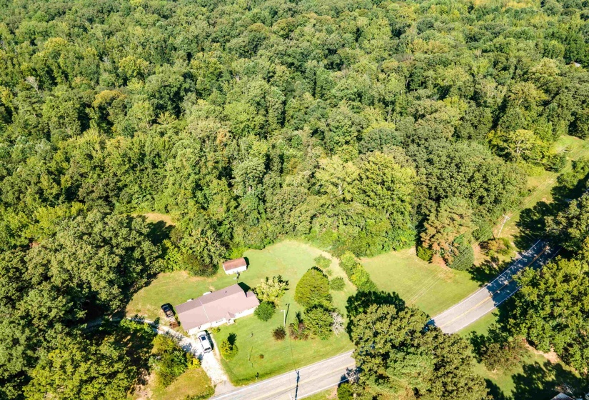 9500 HWY 104 HWY, Cedar Grove, Tennessee 38321, 0 , 0 ,0,Land,For Sale,HWY 104,0,10229130