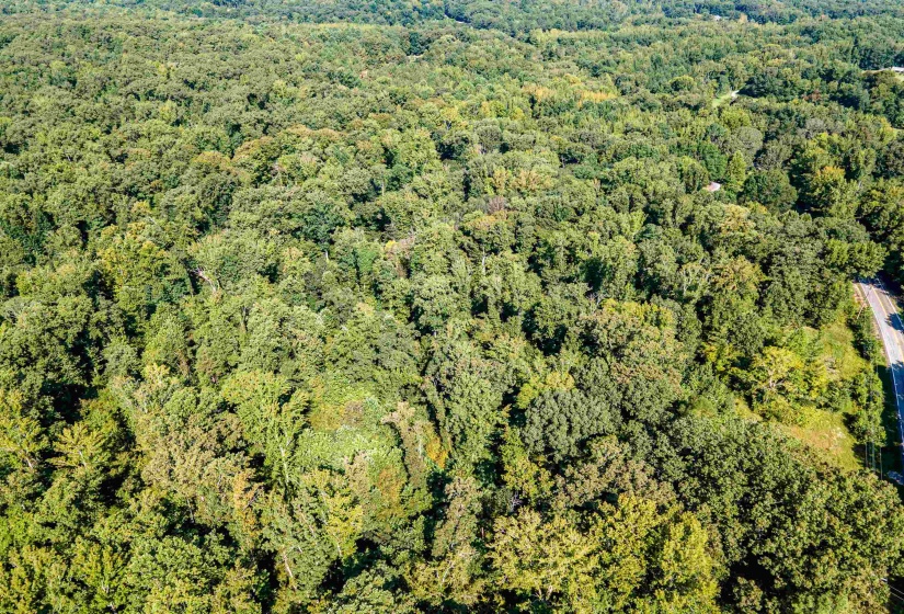 9500 HWY 104 HWY, Cedar Grove, Tennessee 38321, 0 , 0 ,0,Land,For Sale,HWY 104,0,10229130