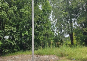 260 LUCERNE PL, Memphis, Tennessee 38126, 0 , 0 ,0,Land,For Sale,LUCERNE,0,10229168 260 LUCERNE PL, Memphis, Tennessee 38126, 0 , 0 ,0,Land,For Sale,LUCERNE,0,10229168
