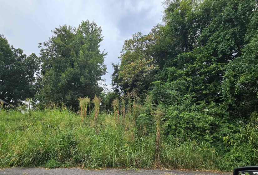 265 ALSTON AVE, Memphis, Tennessee 38126, 0 , 0 ,0,Land,For Sale,ALSTON,0,10229171