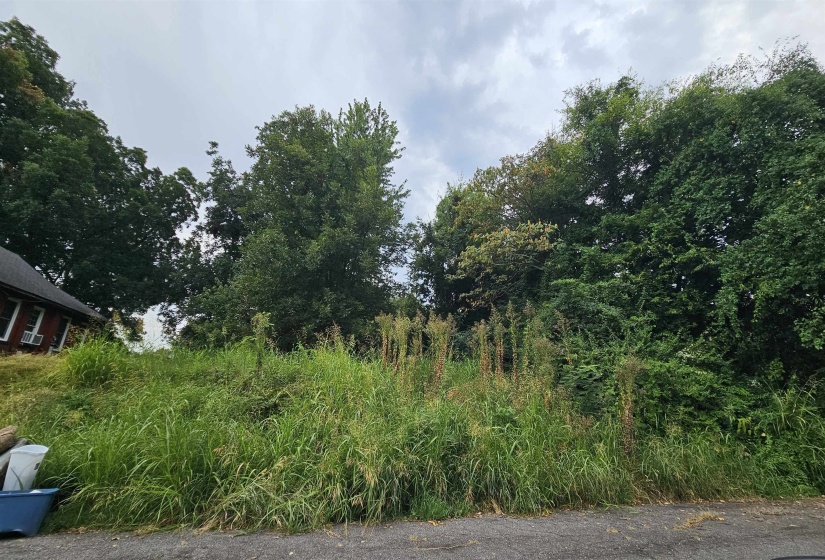 269 ALSTON AVE, Memphis, Tennessee 38126, 0 , 0 ,0,Land,For Sale,ALSTON,0,10229172