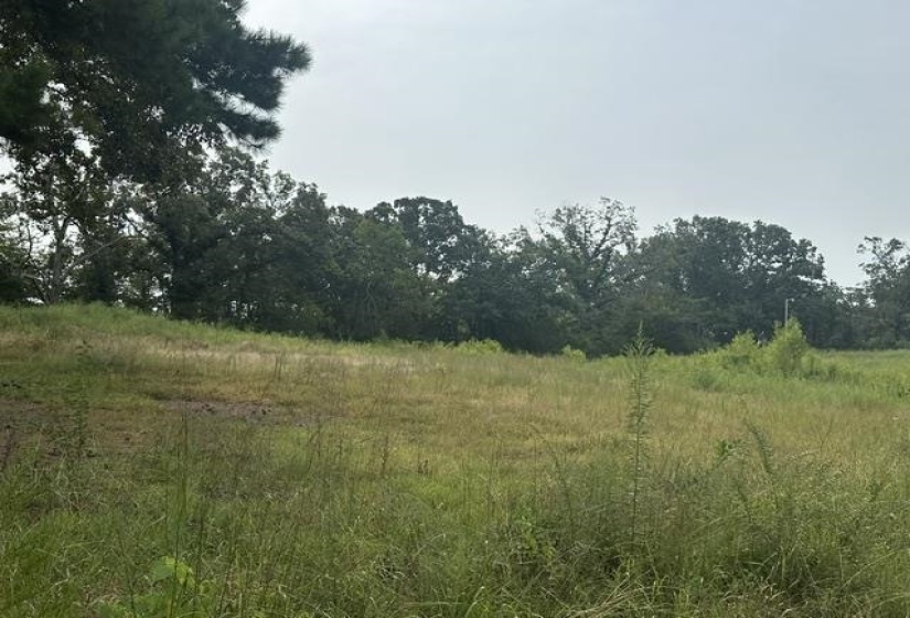 11 DRAKE LOOP, Savannah, Tennessee 38372, 0 , 0 ,0,Land,For Sale,DRAKE,0,10229219