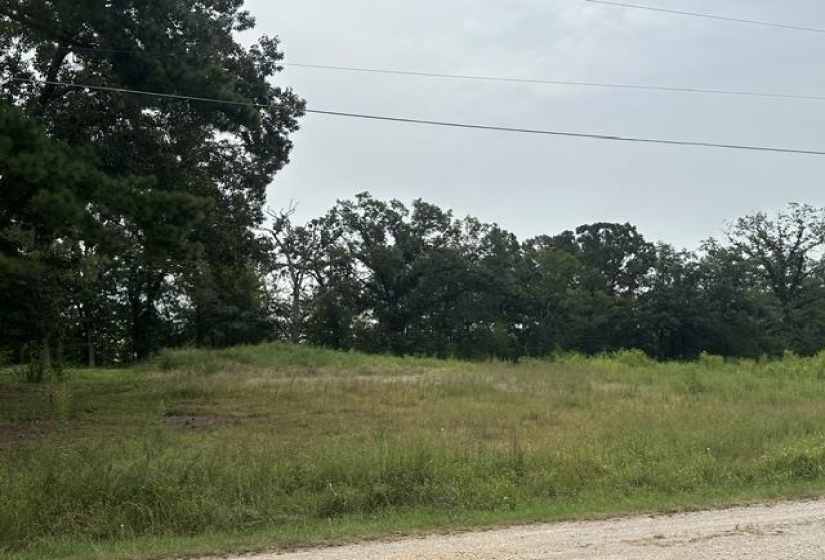 11 DRAKE LOOP, Savannah, Tennessee 38372, 0 , 0 ,0,Land,For Sale,DRAKE,0,10229219