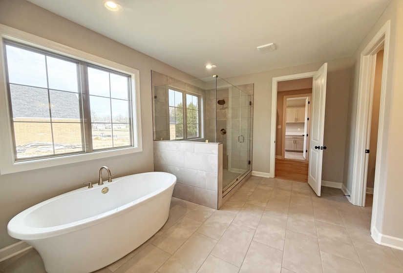 344 ROLLING GROVE BLVD, Collierville, Tennessee 38017, 5 Bedroom Bedrooms, 10 Room Rooms,3 BathroomBathrooms,Residential,For Sale,ROLLING GROVE,0,10229193