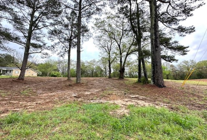 175 DRAKE LOOP, Savannah, Tennessee 38372, 0 , 0 ,0,Land,For Sale,DRAKE,0,10229246