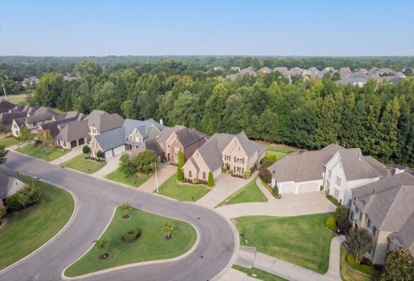 1689 DE HAIG LN, Collierville, Tennessee 38017, 4 Bedroom Bedrooms, 9 Room Rooms,3 BathroomBathrooms,Residential,For Sale,DE HAIG,0,10229255