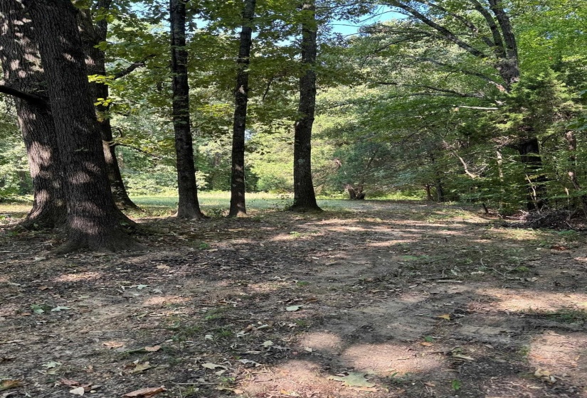 313 FLETCHER RD, Burlison, Tennessee 38015, 2 Bedroom Bedrooms, 5 Room Rooms,1 BathroomBathrooms,Residential,For Sale,FLETCHER,0,10229262