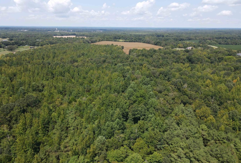 OAK GROVE LN, Henderson, Tennessee 38340, 0 , 0 ,0,Land,For Sale,OAK GROVE,0,10229310