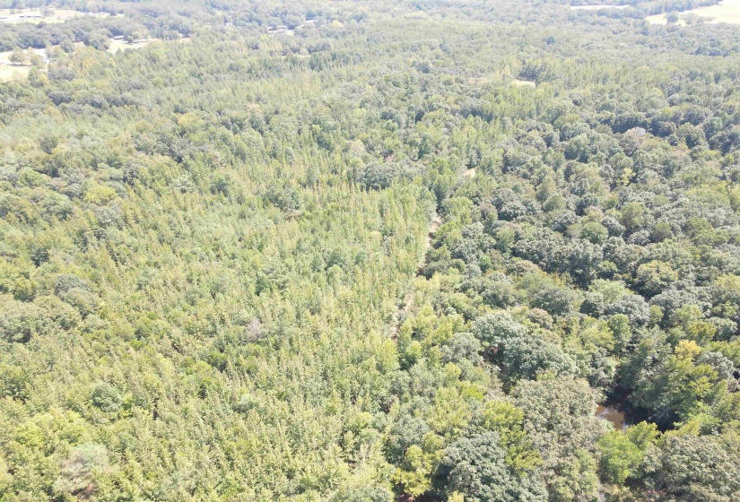 OAK GROVE LN, Henderson, Tennessee 38340, 0 , 0 ,0,Land,For Sale,OAK GROVE,0,10229310