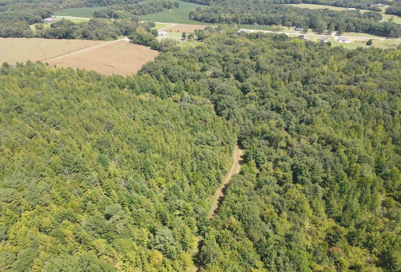 OAK GROVE LN, Henderson, Tennessee 38340, 0 , 0 ,0,Land,For Sale,OAK GROVE,0,10229310