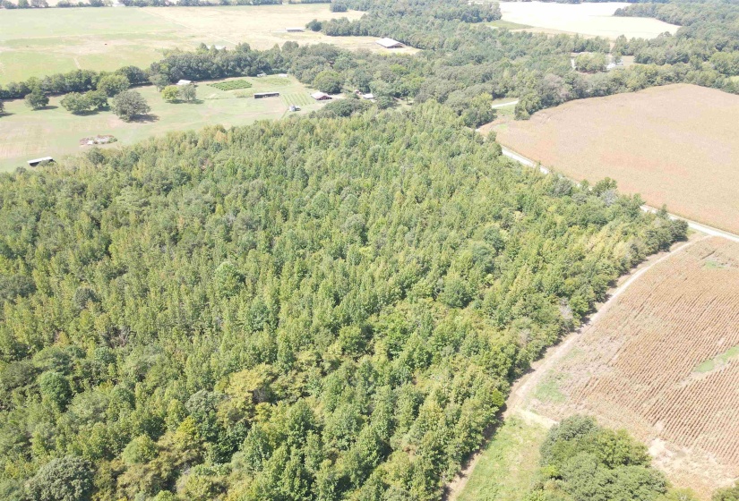 OAK GROVE LN, Henderson, Tennessee 38340, 0 , 0 ,0,Land,For Sale,OAK GROVE,0,10229310
