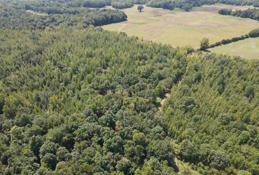 OAK GROVE LN, Henderson, Tennessee 38340, 0 , 0 ,0,Land,For Sale,OAK GROVE,0,10229310