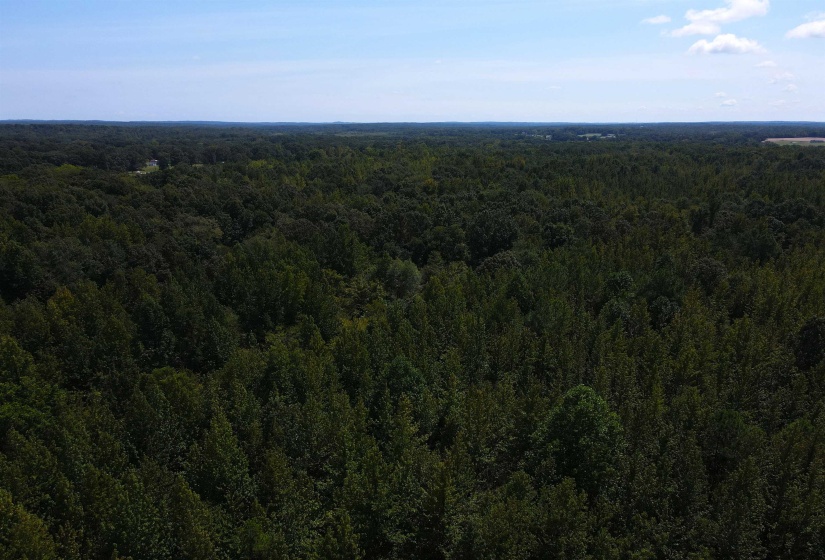 OAK GROVE LN, Henderson, Tennessee 38340, 0 , 0 ,0,Land,For Sale,OAK GROVE,0,10229310
