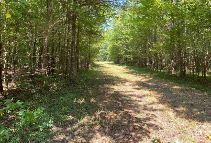 OAK GROVE LN, Henderson, Tennessee 38340, 0 , 0 ,0,Land,For Sale,OAK GROVE,0,10229310