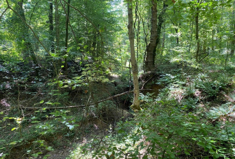OAK GROVE LN, Henderson, Tennessee 38340, 0 , 0 ,0,Land,For Sale,OAK GROVE,0,10229310
