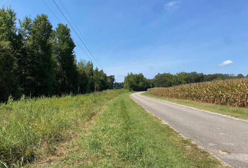 OAK GROVE LN, Henderson, Tennessee 38340, 0 , 0 ,0,Land,For Sale,OAK GROVE,0,10229310