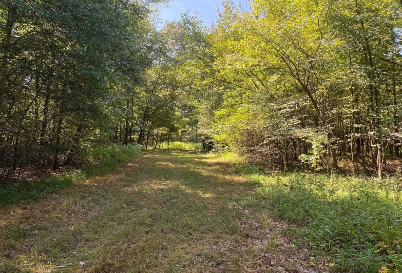 OAK GROVE LN, Henderson, Tennessee 38340, 0 , 0 ,0,Land,For Sale,OAK GROVE,0,10229310
