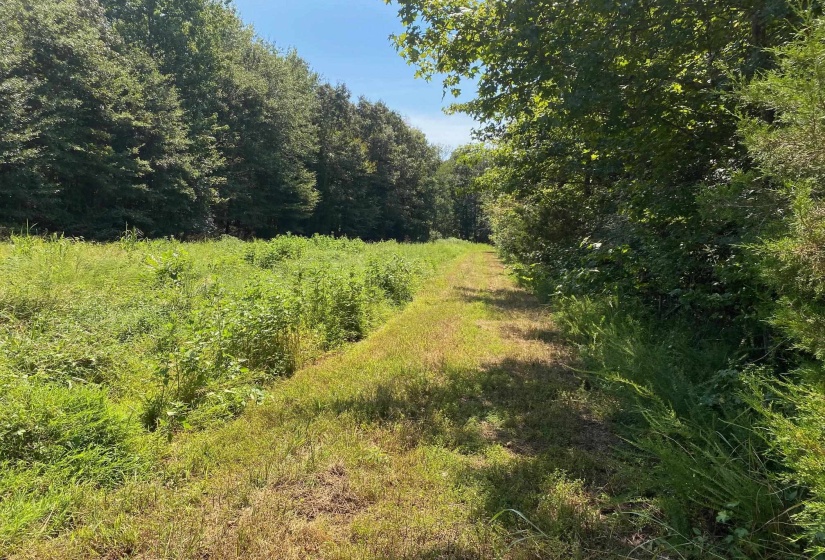 OAK GROVE LN, Henderson, Tennessee 38340, 0 , 0 ,0,Land,For Sale,OAK GROVE,0,10229310