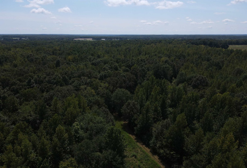 OAK GROVE LN, Henderson, Tennessee 38340, 0 , 0 ,0,Land,For Sale,OAK GROVE,0,10229310