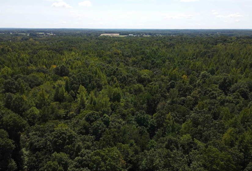 OAK GROVE LN, Henderson, Tennessee 38340, 0 , 0 ,0,Land,For Sale,OAK GROVE,0,10229310