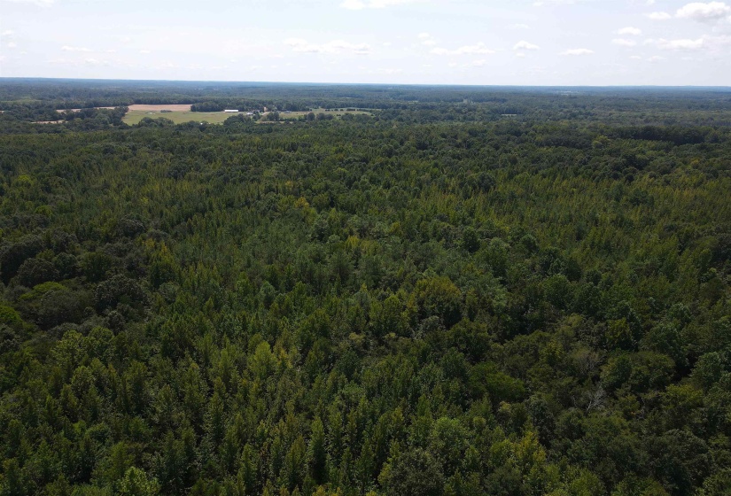 OAK GROVE LN, Henderson, Tennessee 38340, 0 , 0 ,0,Land,For Sale,OAK GROVE,0,10229310