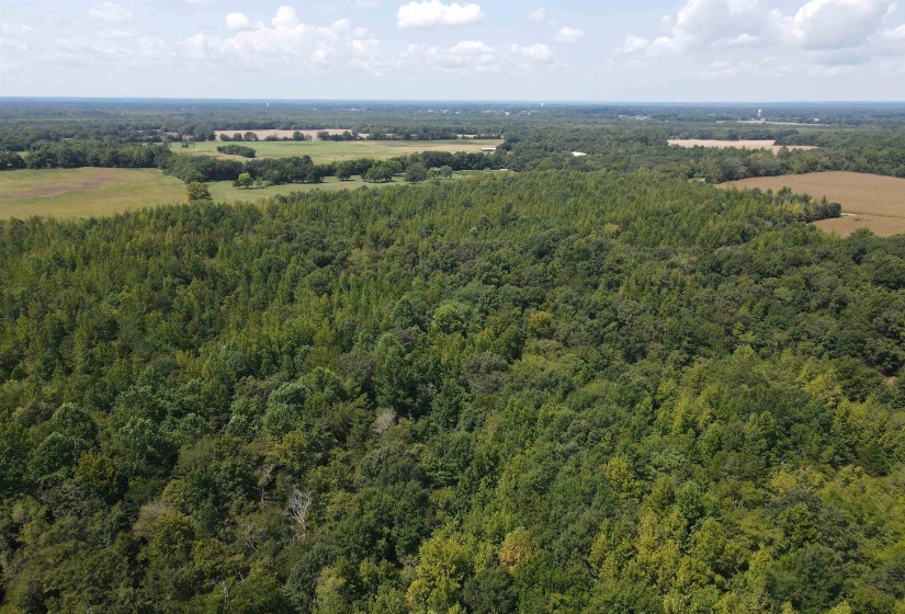 OAK GROVE LN, Henderson, Tennessee 38340, 0 , 0 ,0,Land,For Sale,OAK GROVE,0,10229310