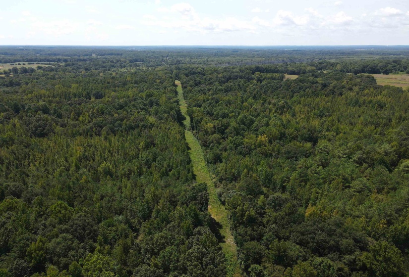 OAK GROVE LN, Henderson, Tennessee 38340, 0 , 0 ,0,Land,For Sale,OAK GROVE,0,10229310