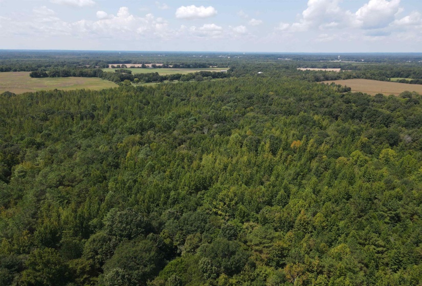 OAK GROVE LN, Henderson, Tennessee 38340, 0 , 0 ,0,Land,For Sale,OAK GROVE,0,10229310