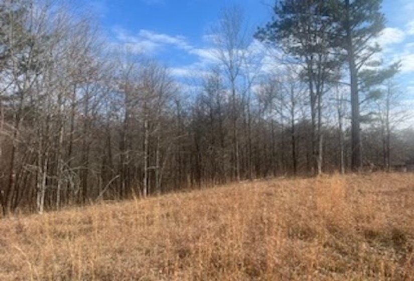 0 RED BANKS RD, Byhalia, Mississippi 38611, 0 , 0 ,0,Land,For Sale,RED BANKS,0,10229317