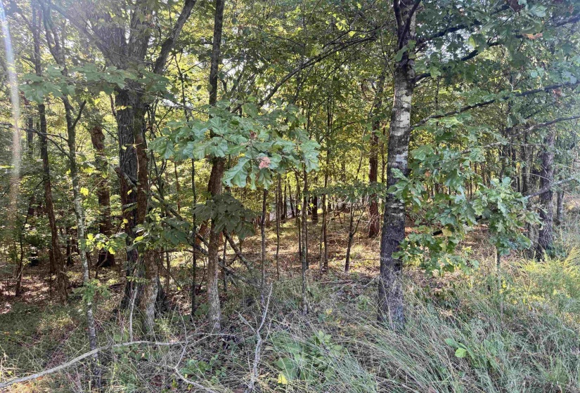 0 RED BANKS RD, Byhalia, Mississippi 38611, 0 , 0 ,0,Land,For Sale,RED BANKS,0,10229317
