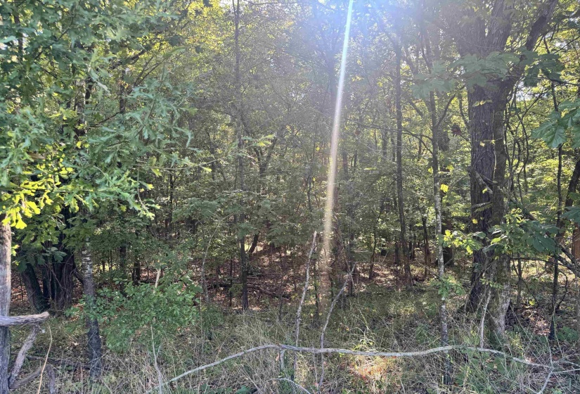 0 RED BANKS RD, Byhalia, Mississippi 38611, 0 , 0 ,0,Land,For Sale,RED BANKS,0,10229317
