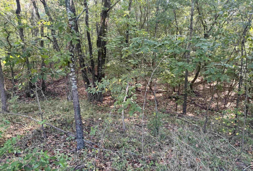 0 RED BANKS RD, Byhalia, Mississippi 38611, 0 , 0 ,0,Land,For Sale,RED BANKS,0,10229317