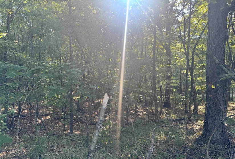 0 RED BANKS RD, Byhalia, Mississippi 38611, 0 , 0 ,0,Land,For Sale,RED BANKS,0,10229317