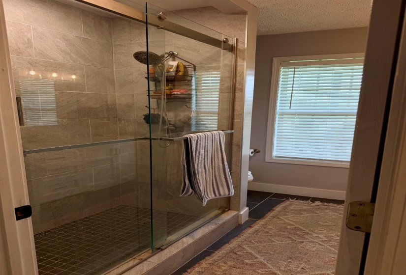 430 TRAINER DR, Whiteville, Tennessee 38075, 2 Bedroom Bedrooms, 5 Room Rooms,1 BathroomBathrooms,Residential,For Sale,TRAINER,0,10229281