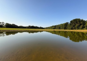 6195 RICKS RD, Arlington, Tennessee 38002, 0 , 0 ,0,Land,For Sale,RICKS,0,10229361 6195 RICKS RD, Arlington, Tennessee 38002, 0 , 0 ,0,Land,For Sale,RICKS,0,10229361