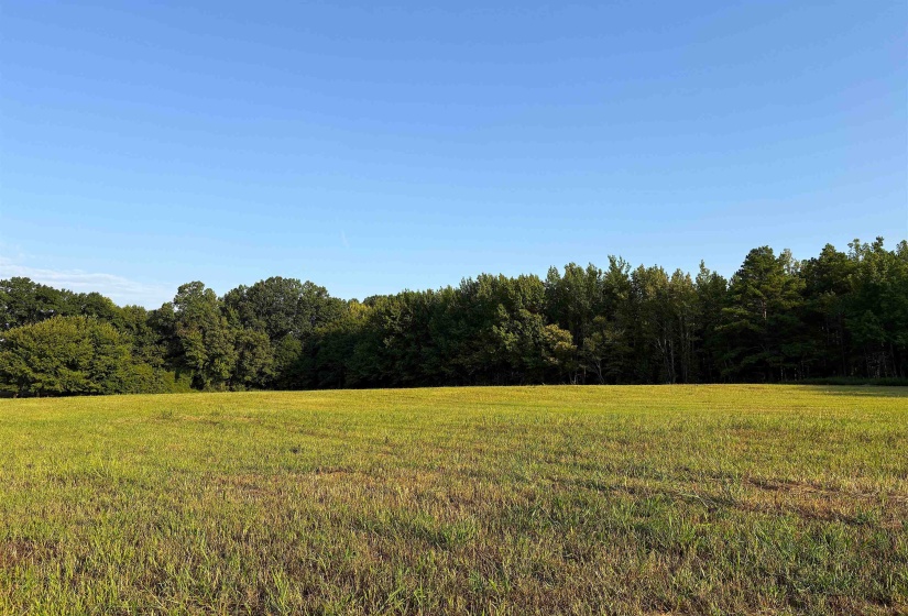 6195 RICKS RD, Arlington, Tennessee 38002, 0 , 0 ,0,Land,For Sale,RICKS,0,10229361