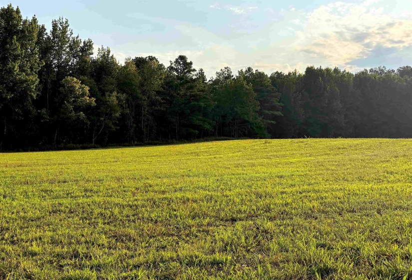 6195 RICKS RD, Arlington, Tennessee 38002, 0 , 0 ,0,Land,For Sale,RICKS,0,10229361