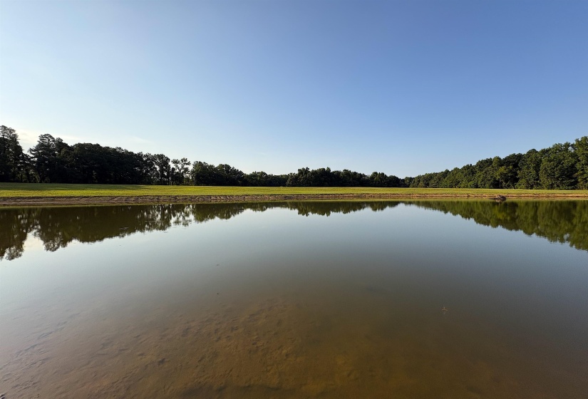 6195 RICKS RD, Arlington, Tennessee 38002, 0 , 0 ,0,Land,For Sale,RICKS,0,10229361