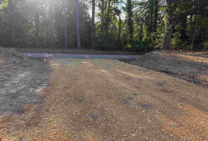 6195 RICKS RD, Arlington, Tennessee 38002, 0 , 0 ,0,Land,For Sale,RICKS,0,10229361