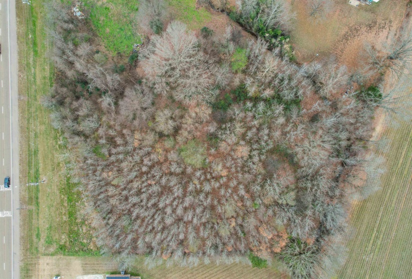 1020 MULBERRY AVE, Selmer, Tennessee 38375, 0 , 0 ,0,Land,For Sale,MULBERRY,0,10229364
