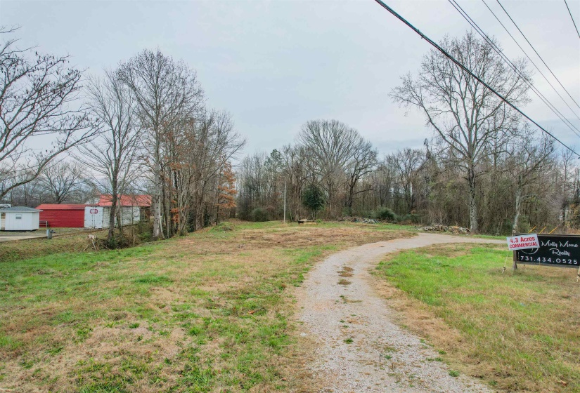 1020 MULBERRY AVE, Selmer, Tennessee 38375, 0 , 0 ,0,Land,For Sale,MULBERRY,0,10229364