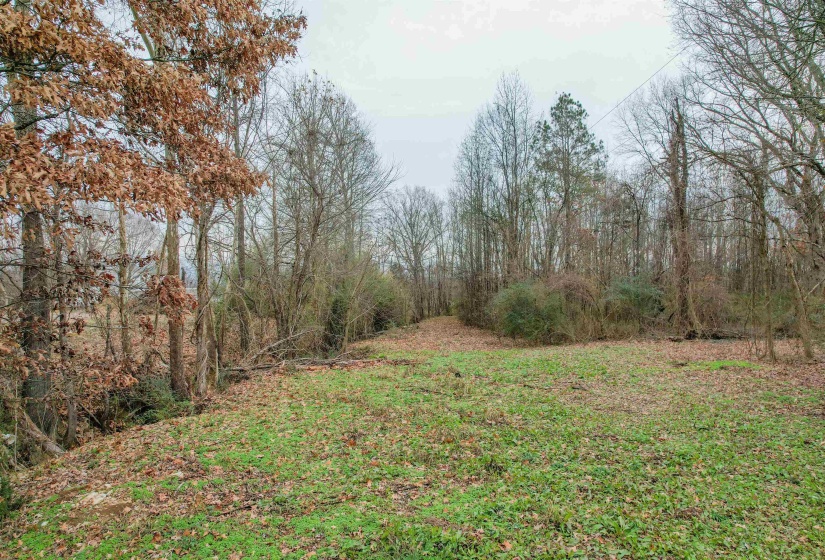 1020 MULBERRY AVE, Selmer, Tennessee 38375, 0 , 0 ,0,Land,For Sale,MULBERRY,0,10229364