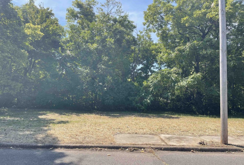 349 SIMPSON AVE, Memphis, Tennessee 38106, 0 , 0 ,0,Land,For Sale,SIMPSON,0,10229405