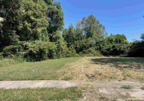 358 LUCY AVE, Memphis, Tennessee 38106, 0 , 0 ,0,Land,For Sale,LUCY,0,10229406 358 LUCY AVE, Memphis, Tennessee 38106, 0 , 0 ,0,Land,For Sale,LUCY,0,10229406