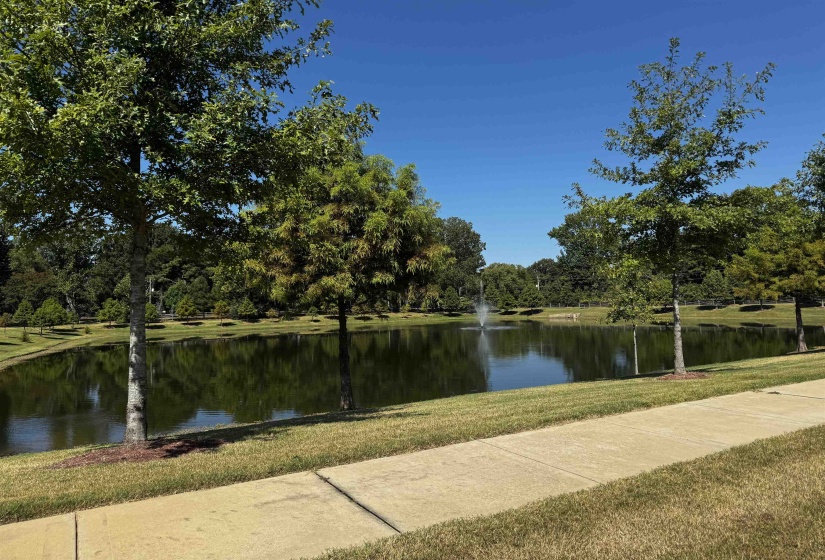 894 CYPRESS VINE CV, Collierville, Tennessee 38017, 4 Bedroom Bedrooms, 12 Room Rooms,3 BathroomBathrooms,Residential,For Sale,CYPRESS VINE,0,10229437