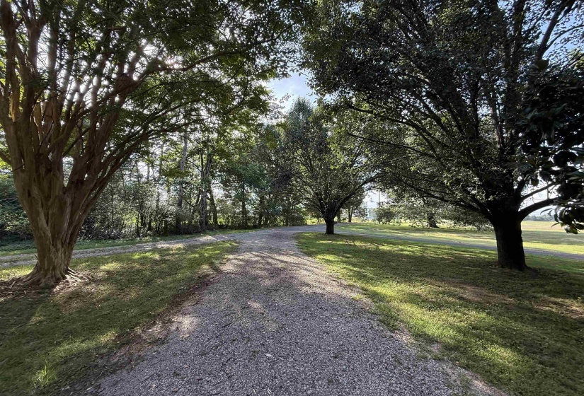 15680 US 64 HWY, Somerville, Tennessee 38068, 4 Bedroom Bedrooms, 10 Room Rooms,2.2 BathroomBathrooms,Residential,For Sale,US 64,0,10229453