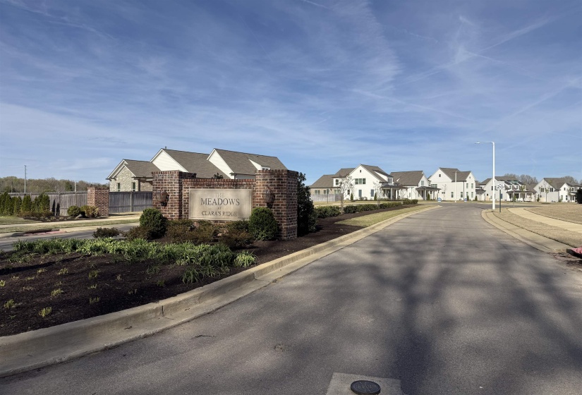 836 GOLDENROD WAY, Collierville, Tennessee 38017, 4 Bedroom Bedrooms, 9 Room Rooms,3 BathroomBathrooms,Residential,For Sale,GOLDENROD,0,10229455
