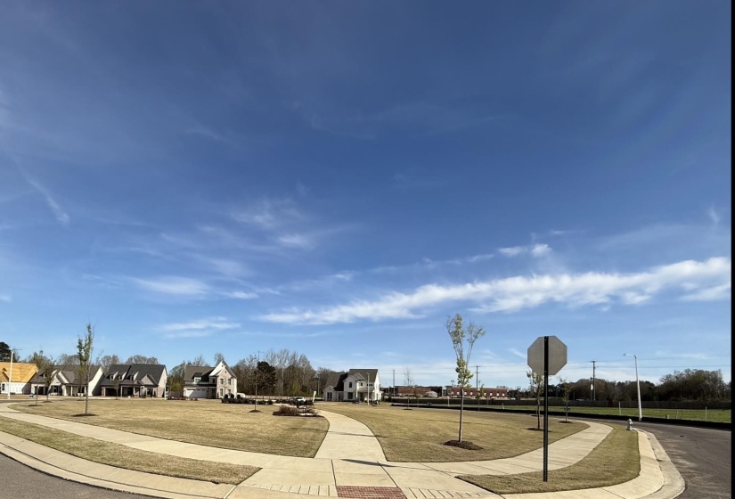 836 GOLDENROD WAY, Collierville, Tennessee 38017, 4 Bedroom Bedrooms, 9 Room Rooms,3 BathroomBathrooms,Residential,For Sale,GOLDENROD,0,10229455
